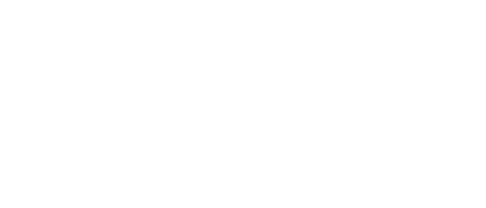 your-pest-assassin-logo-2