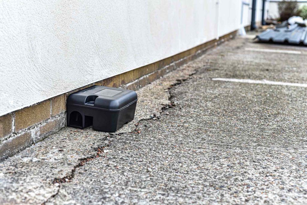 Rodenticide Rules Are Changing: What Homeowners Need to Know